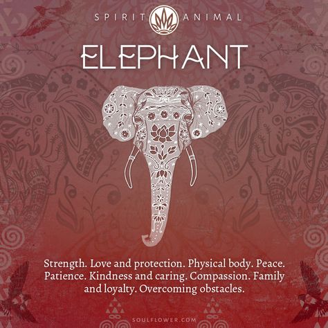 Animals And What They Symbolize, Blessing Balls, Elephant Symbolism, Elephant Spirit Animal, Leo August, Elephant Meaning, Animal Totem Spirit Guides, Elephant Quotes, Find Your Spirit Animal