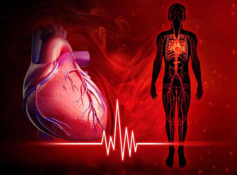 I would NOT have thought this was possible! World's 1st Human Living with a Pump Instead of a Heart Heart Diagram, Penyakit Jantung, Nursing Care Plan, Heart Surgery, Human Heart, Nursing Care, Good Heart, Care Plans, Heart Health