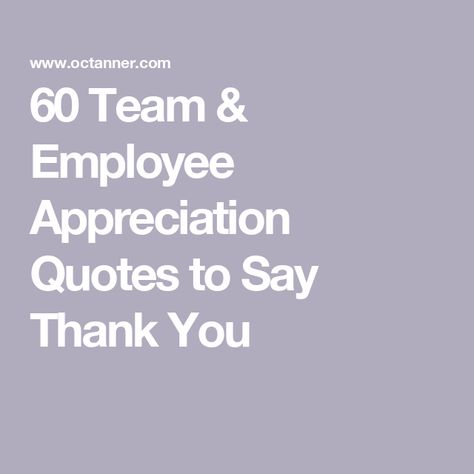 60 Team & Employee Appreciation Quotes to Say Thank You Team Appreciation Quotes, Customer Service Appreciation, Award Quotes, Employee Appreciation Quotes, Recognition Quotes, Employee Quotes, Team Appreciation, Customer Service Week, Employee Thank You