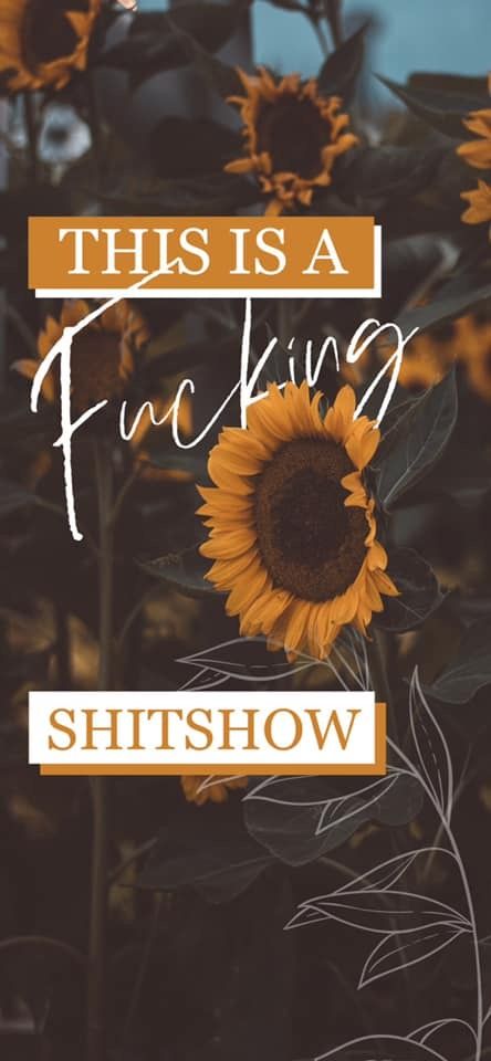 Pretty Lock Screens Aesthetic, Unbothered Wallpaper Iphone, Phone Backgrounds Western, Mama Bear Wallpaper, Sunflower Background Aesthetic, Western Screensavers, Cute Asthetic Photos Wallpaper, Sunflower Phone Wallpaper, Sunflower Wallpaper Iphone