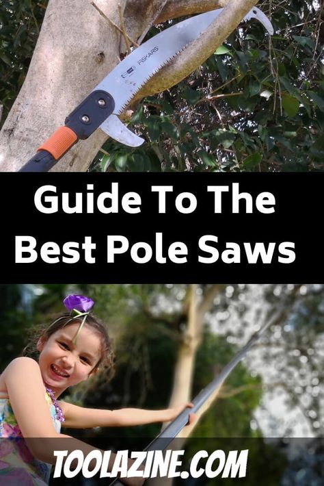 The Best Pole Saw Pruners Budget Gardening, Urban Gardening Balcony, Urban Gardening Ideas, Urban Garden Design, Best Garden Tools, Pole Saw, Bush Beans, Gardening Diy, Pole Beans