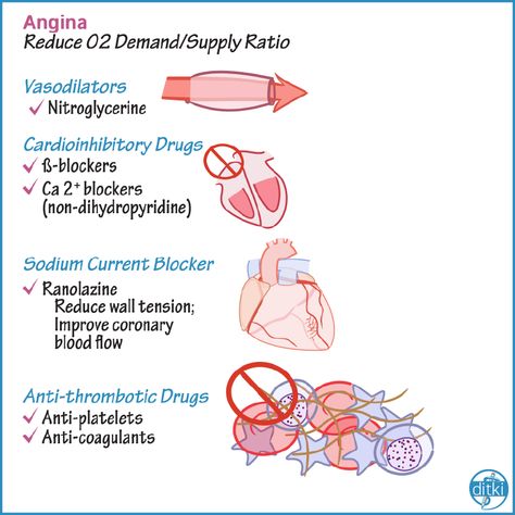 Taking Pharm? Our tutorials, quizzes, and exercises make it easier to learn high-yield concepts, faster. https://drawittoknowit.com/course/cardiovascular-system/glossary/pharmacology/cardiovascular-pharmacology-drug-summary #clinicalpharmacy #pharmacystudents #ditki #usmle #pharmacology #meded #medschool #medstudent #highered #mededonline #usmletutorials #pharmschool #nursing #pance #physicianassistant #osteopath #allopath #medicine #science #healthscience #nurse #premed Cardiovascular Pharmacology, Cardiac Sonography, Doctor Medicine, Cardiovascular Disorders, Pharmacy School, Medical School Studying, Pre Med, Physician Assistant, Cardiovascular System