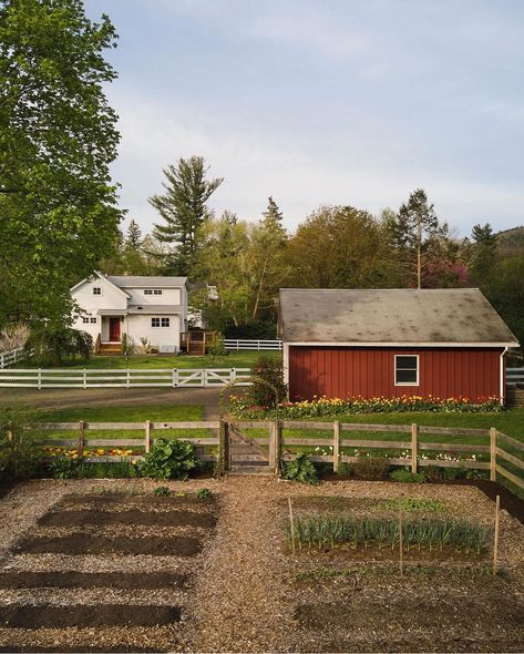 Backyard Farm Aesthetic, Future House Farm, Houses On Farms Land, Apple Orchard House, Corn Farm Aesthetic, Homestead Woman Aesthetic, Farmhouse Vibes Aesthetic, Farmhouse Cottage Landscaping, Dream Yard Country Living