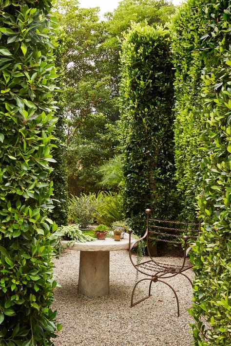 Top 5 ways to create an Old World Garden - Seeking Lavender Lane Fence Front Yard, Front Yard Lighting, Yard Lighting, Yard Walkway, Hornbeam Hedge, Seeking Lavender Lane, Budget Landscaping, Rustic Landscaping, Veranda Magazine