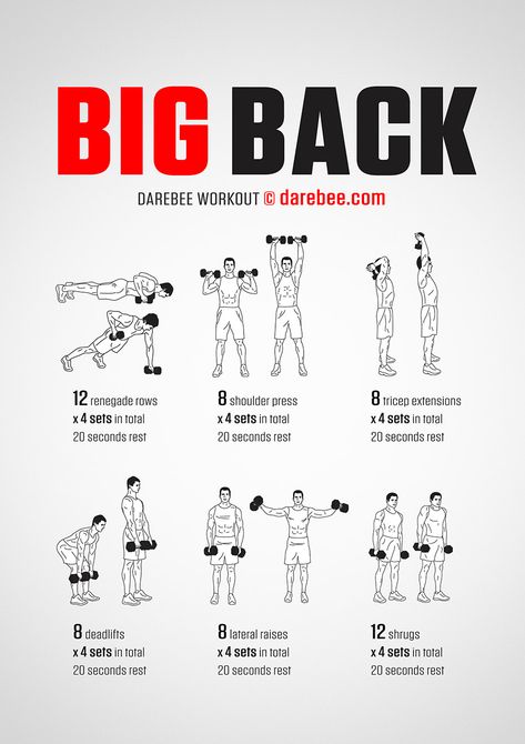 Bicg Back workout poster Big Back Workout, Gym Back Workout, Free Weight Workout, Fitness Studio Training, Latihan Dada, Gym Antrenmanları, Dumbell Workout, Gym Workout Chart, Workout Routine For Men