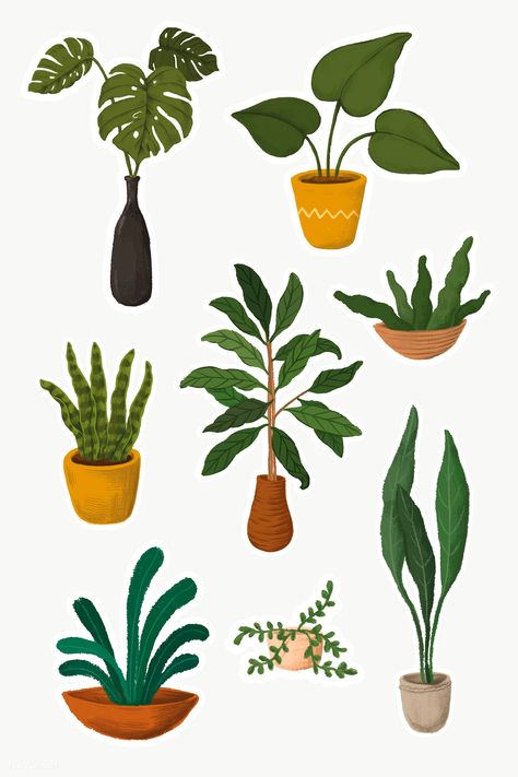 Indoor plants sticker collection | premium image by rawpixel.com / Noon Indoor Plants Illustration, Plant Art Painting, Plants Illustration, White Marble Background, Architecture Collage, Seni Dan Kraf, Lifestyle Illustration, Vector Background Pattern, Plant Aesthetic