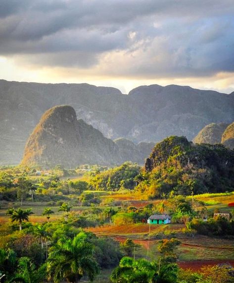 Cuba Vinales, Vinales, Cuba Travel, Travel Bugs, Travel Life, Travel Pictures, Insta Travel, Where To Go, Marketing Agency