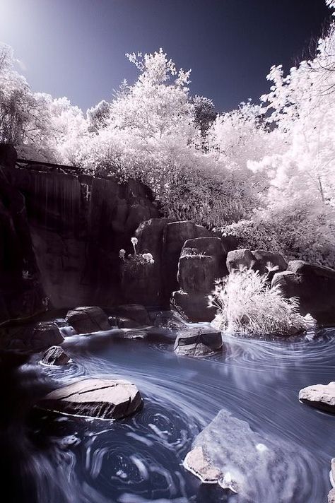 40 Incredible Examples Of Infrared Photography — Smashing Magazine Ir Photography, Lakes In California, Infrared Photography, Red Photography, Infrared Light, Black And White Landscape, Most Haunted, Landscape Photos, Beautiful Photography