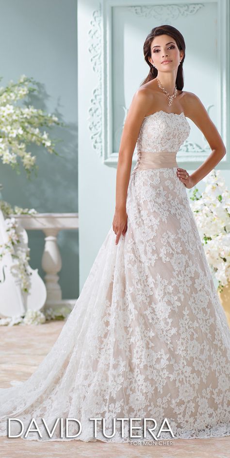 Tone Tags, David Tutera Wedding Dresses, David Tutera Wedding, Wedding Dress Pink, Mon Cheri Bridal, Wedding Dresses Taffeta, Tall Height, David Tutera, Aline Wedding Dress