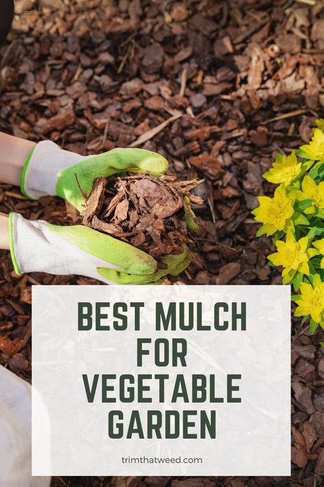 Growing Vegetables At Home, Leaf Mulch, Cypress Mulch, Garden Mulch, Straw Mulch, Types Of Mulch, Wood Mulch, Organic Mulch, Organic Vegetable Garden