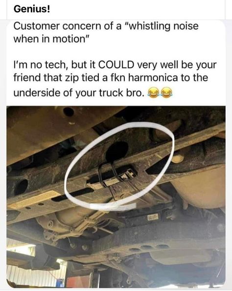 Car Pranks, Hysterically Funny, Internet Funny, Really Funny Pictures, Really Funny Memes, Super Funny, Tumblr Funny, Funny Laugh, Bones Funny