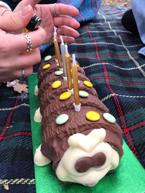 Collin The Caterpillar Cake, Catapiller Cake, Colin The Caterpillar Cake, Bday Picnic, Stuff Aesthetic, Colin The Caterpillar, Caterpillar Cake, Travel Scotland, Treat Ideas