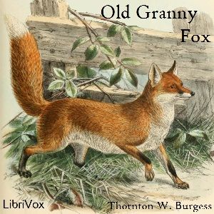 Old Granny Fox 5+ Red Fox, Fox Art Print, Fox Images, Fox Painting, Woodland Fox, Vintage Fox, Fox Illustration, Antique Illustration, Fox Art