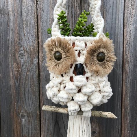 Advanced Macrame, Plant Hanger Pattern, Micro Macrame Tutorial, Macrame Jewelry Tutorial, Macrame Bracelet Tutorial, Macrame Plant Hanger Patterns, Owl Wall Hanging, Macrame Owl, Diy Macrame Plant Hanger