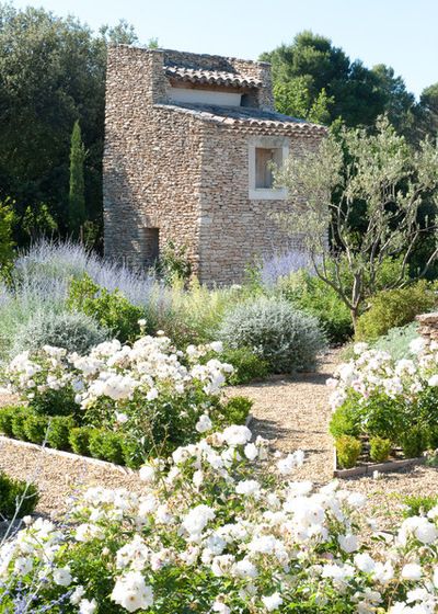 12 European Country Side and Provencal Gardens Landscape Lavender, Garden Lavender, Provence Garden, Mediterranean Landscape, Mediterranean Landscaping, Tree Landscape, Mediterranean Garden, Stone House, Olive Tree