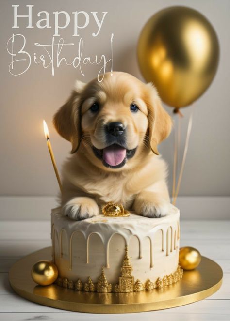 Dog Birthday Wishes, Happy Birthday Wishes Pics, Happy Birthday Wishes Messages, Birthday Wishes Pics, Funny Happy Birthday Wishes, Happy Birthday Dog, Birthday Wishes Flowers, Birthday Wishes Greetings, Birthday Greetings Friend