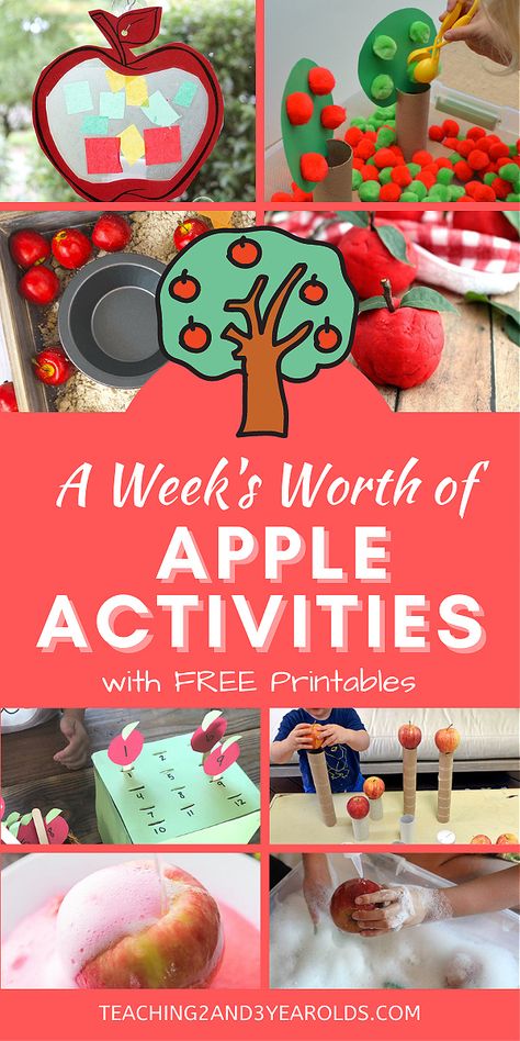 Montessori, Apple Lesson Plans, Preschool Apple Theme, September Preschool, Apple Lessons, September Activities, September Themes, Preschool Fall, Apple Preschool