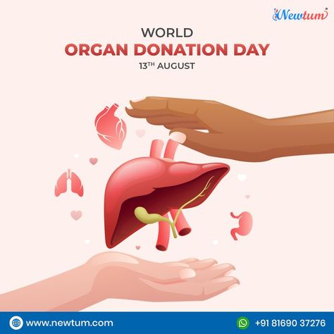 World Organ Donation Day is observed on August 13 every year globally to raise awareness about the importance of organ donation and to make people aware of the misconceptions of organ donation. #OrganDonation #DonateLife #BeAnOrganDonor #GiftOfLife #OrganTransplant #SaveLives #OrganDonorAwareness #DonateOrgans World Organ Donation Day, Donate Life, Organ Donor, Organ Transplant, Day Illustration, Organ Donation, Hands Holding, Science Projects, Vector Photo