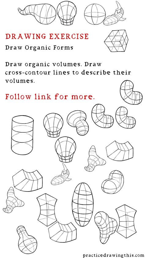 Drawing Exercises - Draw organic volumes. Draw cross-contour lines to describe their volumes. Structural Drawing, Perspective Exercises, Drawing Training, Shapes Drawing, Drawing 101, Geometric Shapes Drawing, Basic Anatomy, Basic Sketching, Beautiful Pencil Drawings