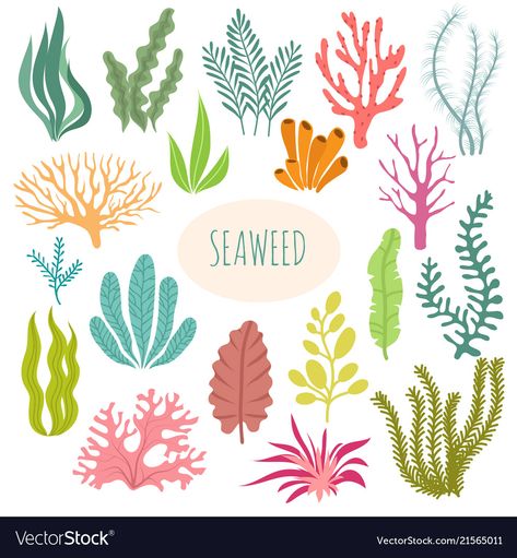 Underwater Cartoon, Ocean Plants, Inkscape Tutorials, Photos Black And White, Underwater Plants, 동화 삽화, Sea Plants, Coral Background, Sea Life Art