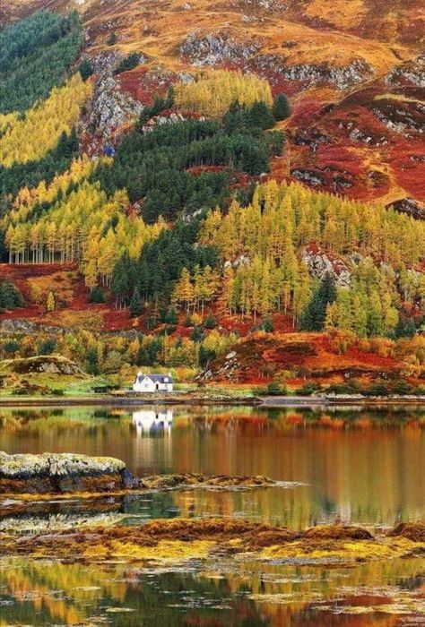 The Amateur Show Gardener on Twitter: "Autumn in the Scottish Highlands..... Wow.… " Isle Of Mull, Stirling Castle, Instagram Challenge, Guy Fawkes, Dark Autumn, Scotland Highlands, Autumn Scenery, Dyeing Techniques, Mountain Lake