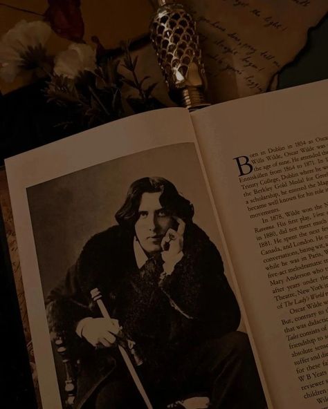 Oscar Wilde Aesthetic, Dark Academia Pfp, Dark Academia Literature, Reading Classics, Academia Books, Darkest Academia, Dark Academia Books, Dark Acadamia, Chaotic Academia