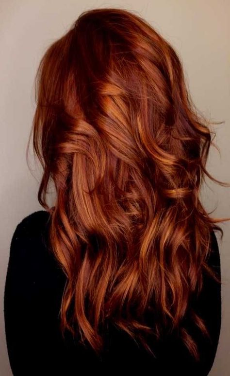 2023 Fall Red Hair, Dark Red Copper Highlights, Brown And Copper Hair Color, Medium Auburn Red Hair, Copper Balayage Brunette Medium, Red Hair Color Over Brown, Spicy Copper Hair Color, Red Hair With Auburn Highlights, Rhubarb Red Hair