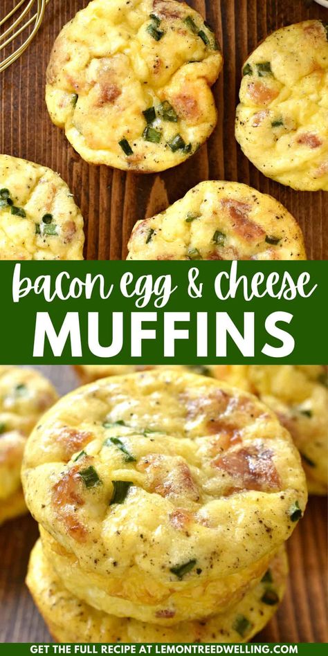 Egg Muffins are the perfect breakfast option for busy mornings. Loaded with all your breakfast favorites -like bacon, eggs, and cheese - they're simple, savory, and so delicious! Breakfast Egg Muffins 3 Ways, Egg Muffin Recipes For Breakfast, Breakfast Ideas Egg Muffins, Easy English Muffin Breakfast, Essen, Quiche, Egg Muffins With Bacon, 4 Ingredient Breakfast Muffins, Bacon Cheese Muffins Breakfast Recipes