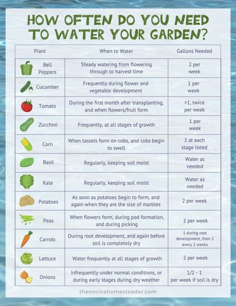 Small Beginner Garden Layout, Garden Watering Schedule, Medicinal Gardening, Water Garden Plants, When To Plant Vegetables, Vegetable Garden Planning, Vegetable Garden For Beginners, Victory Garden, Everyday Quotes