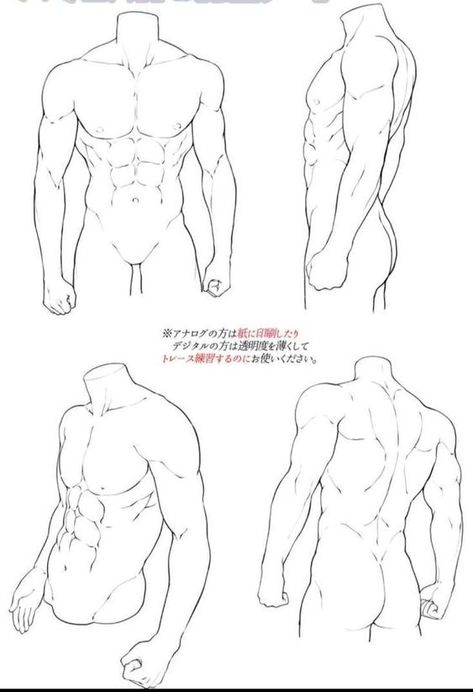 Male Body Drawing Back, Male Back Anatomy Reference, How To Draw A Male Torso, Male Body Drawing Reference Pose, Male Back Anatomy, Male Back Drawing Reference, Male Art Base, Abs Art Reference, Male Back Reference