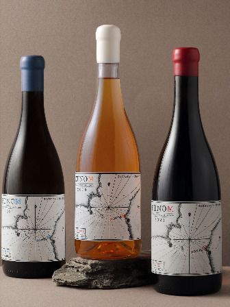 A map where the treasure is the vines.
ETNOM written backwards reads MONTE, the name of the village where the winemaker was born
Katia Orange. In that same place, his family, the 'Laranjos', have been making wine for several centuries.
We used an old map of the islands of Pico and Faial as a sketch to design this label which presents itself as a kind of treasure map where in this case, the cross points
to the coordinates of the vineyards, where the ETNOM wine was produced. Maps Aesthetic, Making Wine, Wine Map, Treasure Map, Wine Design, Treasure Maps, Wine Labels, Illustrated Map, Old Map