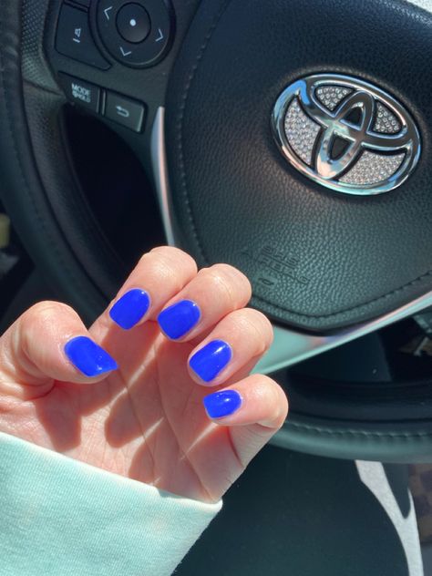 Royal Blue Dip Nails Short Blue Dip Nails, Royal Blue Dip Nails, Blue Dipped Nails, Dip Nails Blue, Blue Dip Powder Nails, Blue Dip Nails, Insta Nails, Royal Blue Nails, Royal Blue Shirts