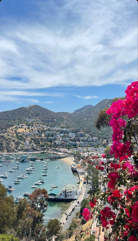 Catalina California, Catalina Island California, West Coast Travel, Santa Catalina Island, Good Day Sunshine, Travel Inspiration Destinations, Catalina Island, Island Getaway, Summer Dream