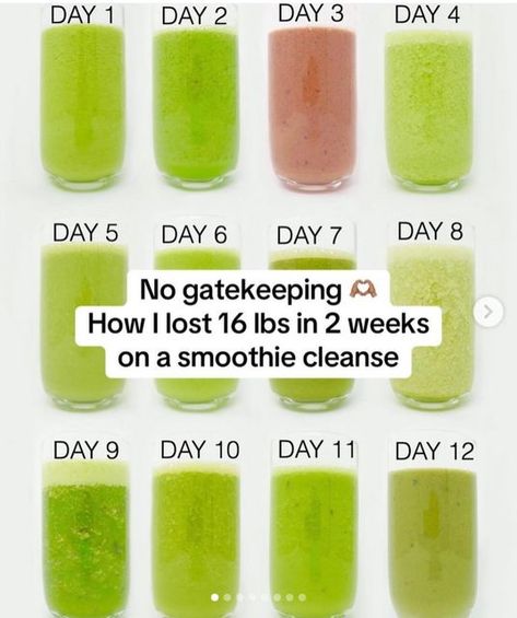 SMOOTHIE SLIM DETOX 2023 🇺🇸 on Instagram: "🔐Save this for your New Year detox🫢💚 The best place to start is with Smoothie Diet in 21 Days Plan. Although there are other programs that can help you lose weight,But I am ensure that, the Smoothie Diet Plan in 21 Days very user friendly and can provide you with recipes that help you lose weight fast. Most of my clients report having lost about 14 to 20 pounds in about 3 weeks. This shows how powerful the program actually is. Check the LINK 🔗 in my bio (👉 @smoothiesnice ) and take the 21-Day Smoothie Diet Challenge TODAY if you want more AMAZING smoothie recipes like THIS! 😍⁣ ⁣. Follow us 👉 @smoothiesnice for more Smoothie recipes and healthy tips every day 🧡🧡" Smoothie Diet 21 Day Program, Smoothie Diet 30 Days, 21 Day Smoothie Diet Plan Free Pdf, 30 Day Smoothie Challenge, Smoothie Diet Plan 7 Day, New Years Detox, Amazing Smoothie Recipes, Smoothie Diet Plan, Nutrient Packed Smoothies