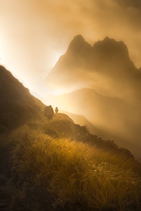 Milford Track, Countryside Landscape, Free Camping, Foto Art, In The Mountains, Camping Trips, Beautiful World, Beautiful Landscapes, The Great Outdoors