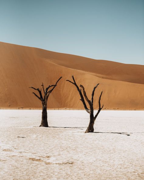 Namibia Aesthetic, Sossusvlei Namibia, Namibia Travel, With My Boyfriend, African Travel, Second Home, Desert Painting, Trip Itinerary, Southern Africa