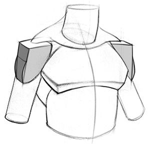 How to Draw Deltoids - Anatomy for Artists | Proko Human Shoulder Anatomy, How To Draw Obliques, Deltoid Muscle Drawing, Deltoids Anatomy, Collarbone Anatomy, How To Draw Shoulders, Deltoid Muscle, Shoulder Anatomy, Human Anatomy For Artists