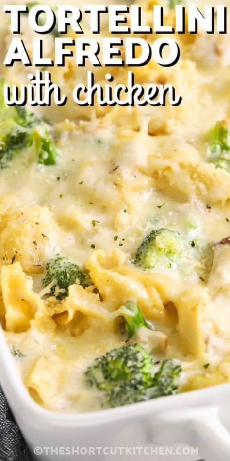 Treat your family to a taste of perfection with the delightful chicken tortellini Alfredo recipe. Bake cheese tortellini and shredded chicken in a casserole dish, smothered in a rich and creamy Alfredo sauce. Add bursts of freshness with broccoli florets and a cheesy topping for a hassle-free, Panera-inspired dish perfect for busy cooks! #theshortcutkitchen #chickentortellinialfredo #chickentortellini #tortellinialfredowithchicken Totalini Dinner, Broccoli Alfredo Sauce, Tortellini Broccoli, Baked Cheese Tortellini, Chicken Tortellini Alfredo, Baked Tortellini Alfredo, Cracker Chicken Casserole, Baked Tortellini Recipes, Alfredo With Broccoli