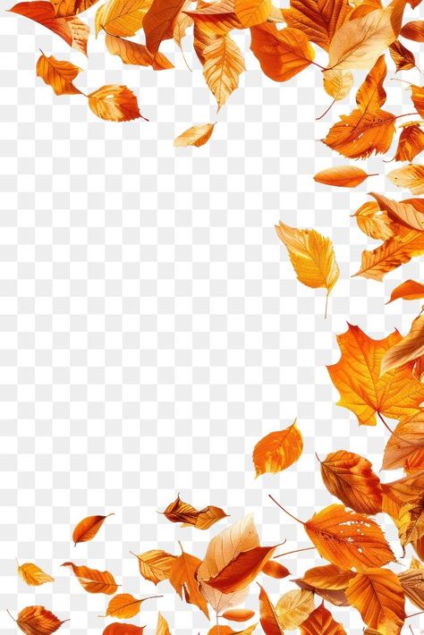 Autumn Leaves Border Design, Leaves Blowing In The Wind, Fall Leaf Template, Petals Falling, Fall Leaves Png, Flowers Border, Autumn Png, Free To Use Images, Leaves Autumn