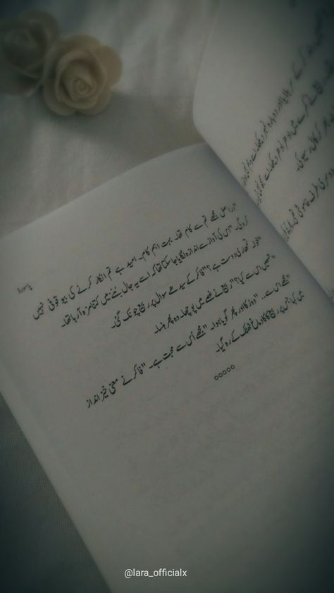 Urdu Books Aesthetic, Urdu Aesthetic, Desi Clothes, Quotes From Novels, Urdu Novels, Book Photography, Study Motivation, Book Aesthetic, Aesthetic Photography