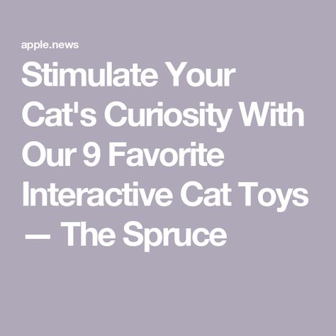 Stimulate Your Cat's Curiosity With Our 9 Favorite Interactive Cat Toys — The Spruce The Spruce, Care Less, Interactive Cat Toys, Get Even, Go Crazy, Interactive Toys, Cat Toy, Cat Toys, A Cat