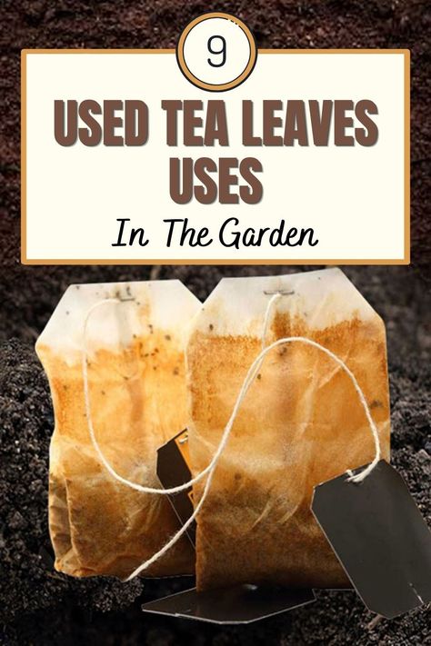 So, after enjoying a morning or afternoon cup of tea, most of you probably toss the wet, soggy bag of steeped tea leaves in the garbage. Well, as it turns out, there’s actually another great use for them that can also help your garden – bury them! Uses For Used Tea Bags, Tea Fertilizer, Leaf Compost, Diy Fertilizer, Composting 101, Used Tea Bags, Garden Remedies, Plant Benefits, Natural Fertilizer