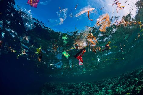 Floating booms could only clean up 5% of plastic on the ocean surface Pacific Garbage Patch, Great Pacific Garbage Patch, Underwater Ocean, Marine Pollution, Plastic Pollution, Animal Species, Environmental Science, South Asia, Still Water