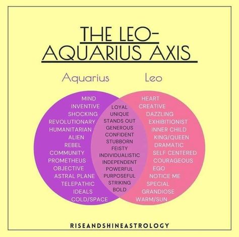 Astrology Knowledge, Leo Sun Scorpio Moon, Aquarius Sun, Astrology Meaning, Leo Sun, Leo And Aquarius, Sun Signs, Aquarius Rising, Zodiac Characters