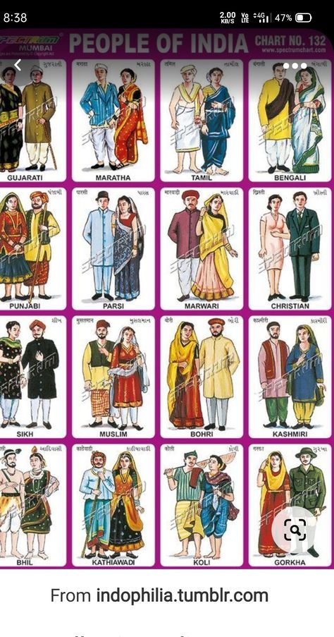 Gujrat Traditional Dress, North Indian Dress, Different States Costumes Of India, India Traditional Dress Culture, Indian States Traditional Dress, Dresses Types Chart Style, India Traditional Dress, Culture Collage, Cultural Heritage Of India