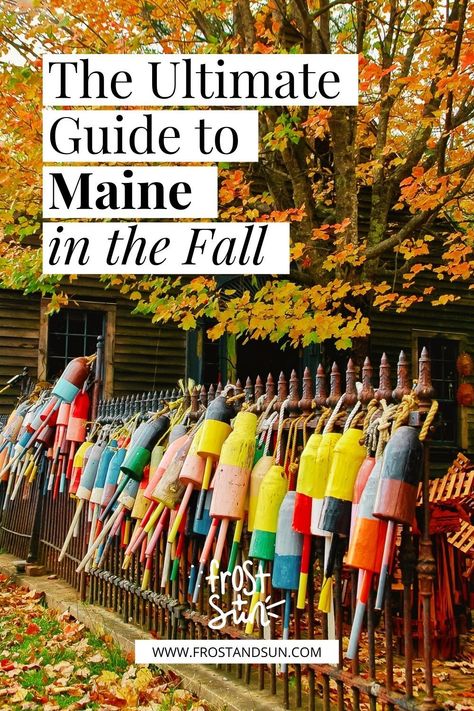 Maine In The Fall Road Trips, Fall In Bar Harbor Maine, Fall Maine Trip, Maine Things To Do In Fall, Maine Honeymoon Fall, Things To Do In Maine In October, Bar Harbor Maine Things To Do Fall, Fun Things To Do In Maine, Portland Maine In October