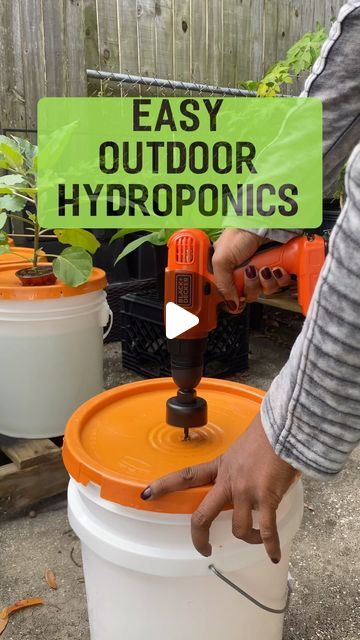 Learning as I Grow on Instagram: "If you have ever been intimidated by the idea of starting hydroponics, this is an easy way to start. The Kratky method doesn’t require electricity. Just the nutrient solution of your choice and a vessel. You can even grow plants in a soda can using this method. The possibilities are endless.   I don’t post many instructional reels because I don’t want to come across as a “know it all”. I am hypercritical of myself and my post. An introvert in every sense of the word. I’m trying to come out of my shell and share the information I’ve obtained over time with everyone else. If you have any questions please feel free to dm me or comment below. Learning as I grow for sure.  -Claudette   #hydroponics #aerogarden #containergardens #diy" Easy Hydroponics Diy, Kratky Hydroponics Diy, Diy Hydroponic Garden Indoor, Hydroponics Diy Indoor, Outdoor Hydroponics, Aeroponics Diy, Kratky Hydroponics, Hydroponic Gardening For Beginners, Kratky Method