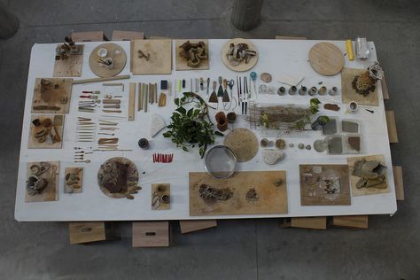 Reggio Children - In the Shape of Clay Atelier Montessori, Reggio Emilia Art Projects, Reggio Emilia Art, Reggio Atelier, Nature Based Classroom, Early Childhood Education Classroom, Reggio Children, Atelier Ideas, Reggio Emilia Approach