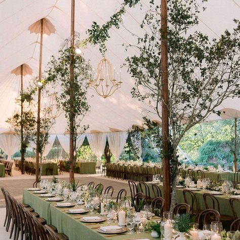 Sperry Tent Wedding, Cocktail Hour Decor, Outdoor Wedding Backdrops, Wedding Tent Decorations, Luxe Wedding Decor, Tent Wedding Reception, Candlelit Wedding, Tent Decorations, Farm Wedding Venue