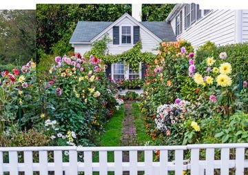 Dream Cottage, Martha's Vineyard, Marthas Vineyard, Garden Cottage, Pretty House, Dream Garden, Better Homes And Gardens, Nantucket, Clematis